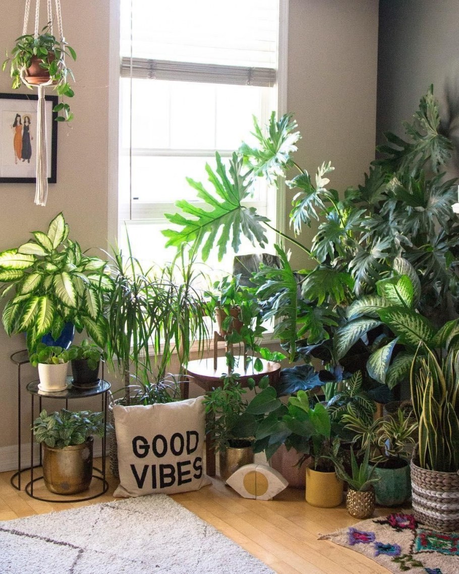 Уголок с растениями в квартире