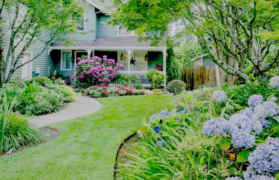 Миксбордер у террасы