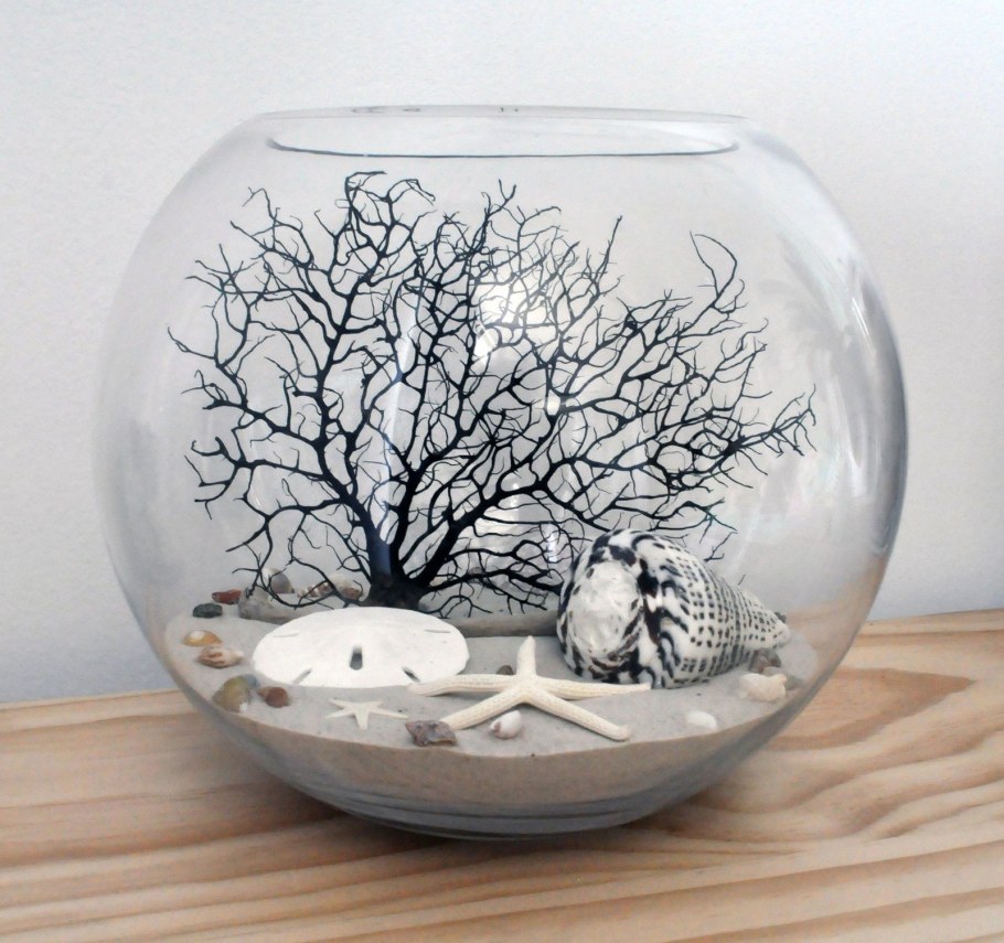 Сухой аквариум круглый