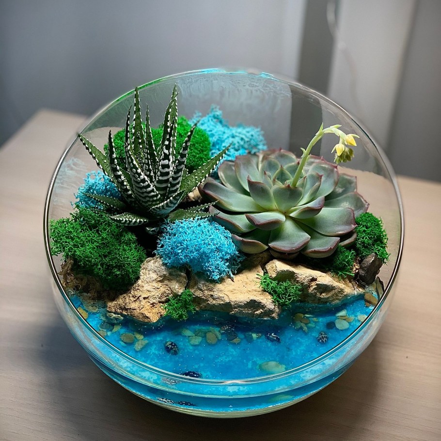 Флорариум с мхом