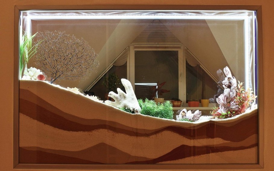 Сухой аквариум