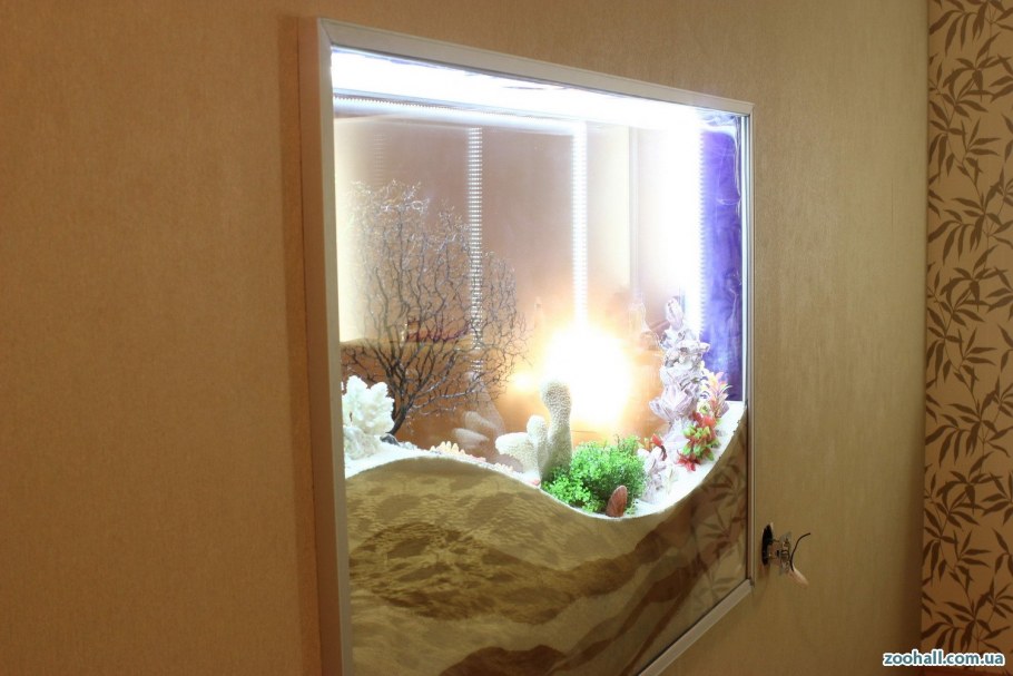 Аквариум 2021