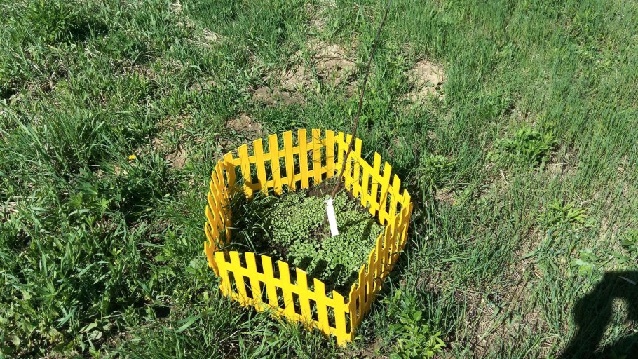 Клумбы из габионов