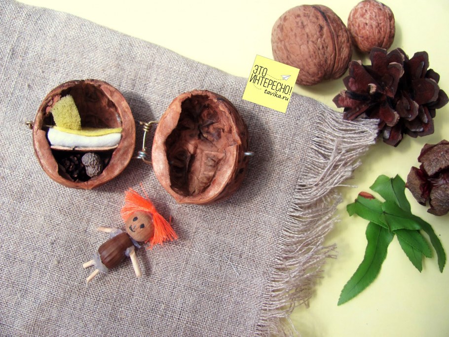 Домик из грецкого ореха