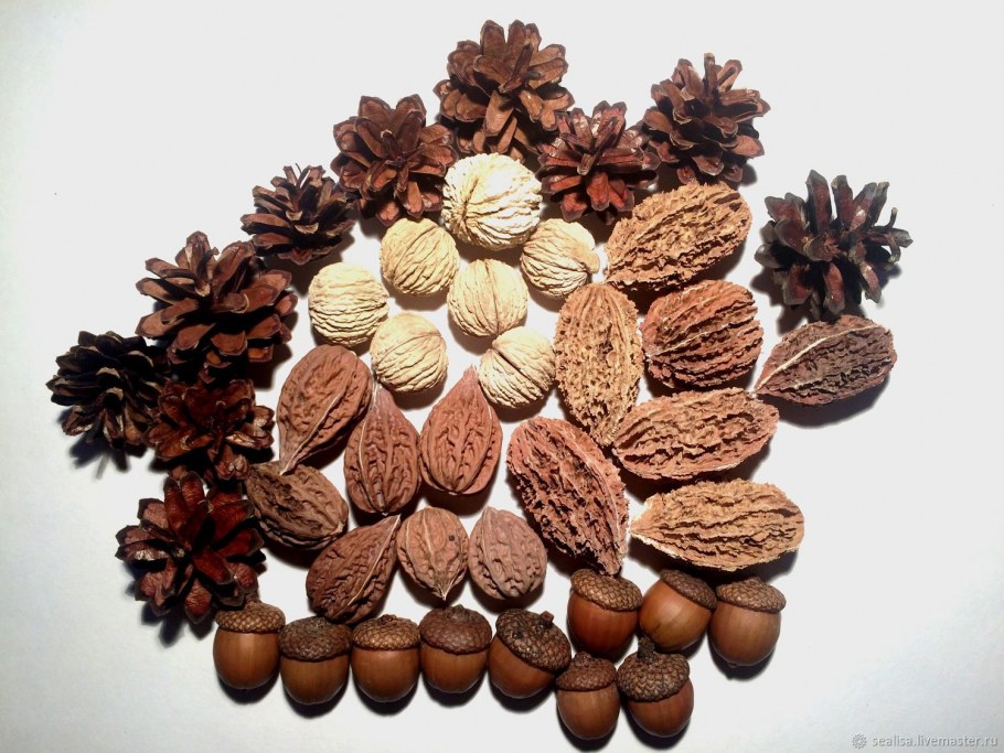 Природные материалы для творчества