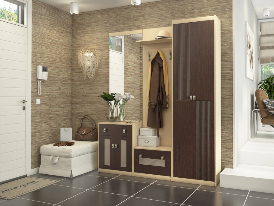 Прихожая в темном цвете