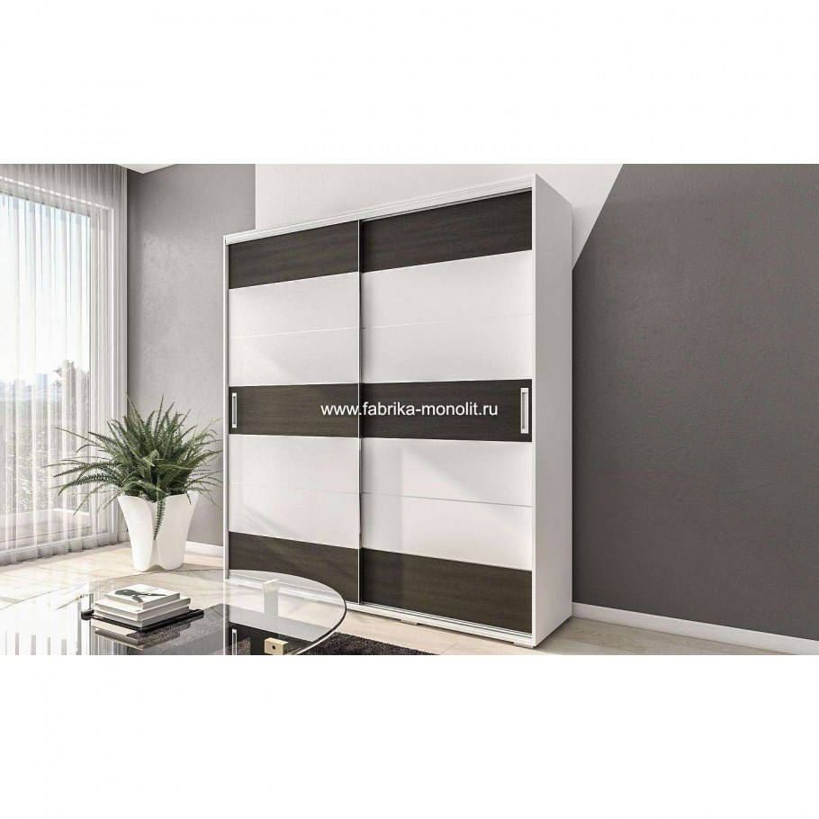 Шкаф-купе Элит-11