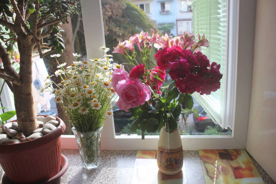 Цветы на подоконнике