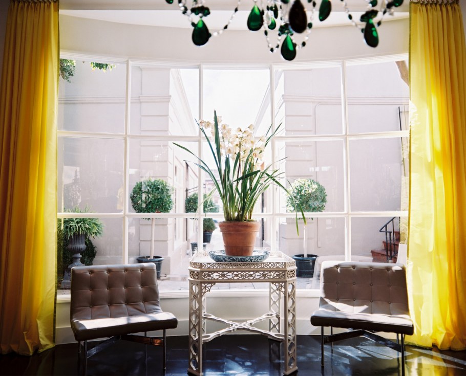 Орхидея фаленопсис на подоконнике