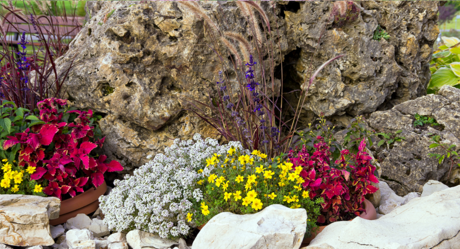 Скалистый альпинарий