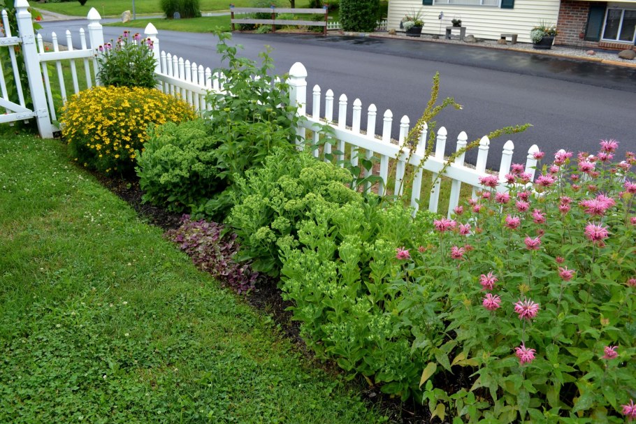 Клумбы вдоль забора на даче