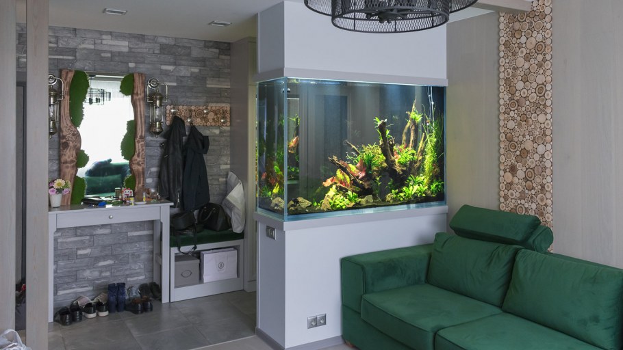 Зонирование аквариумом