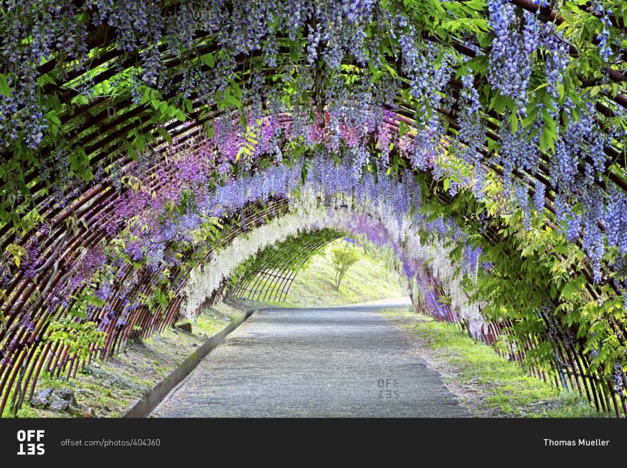 Малые садовые архитектурные формы