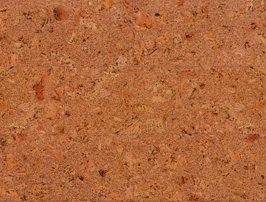 Wicanders go Narva bj03027