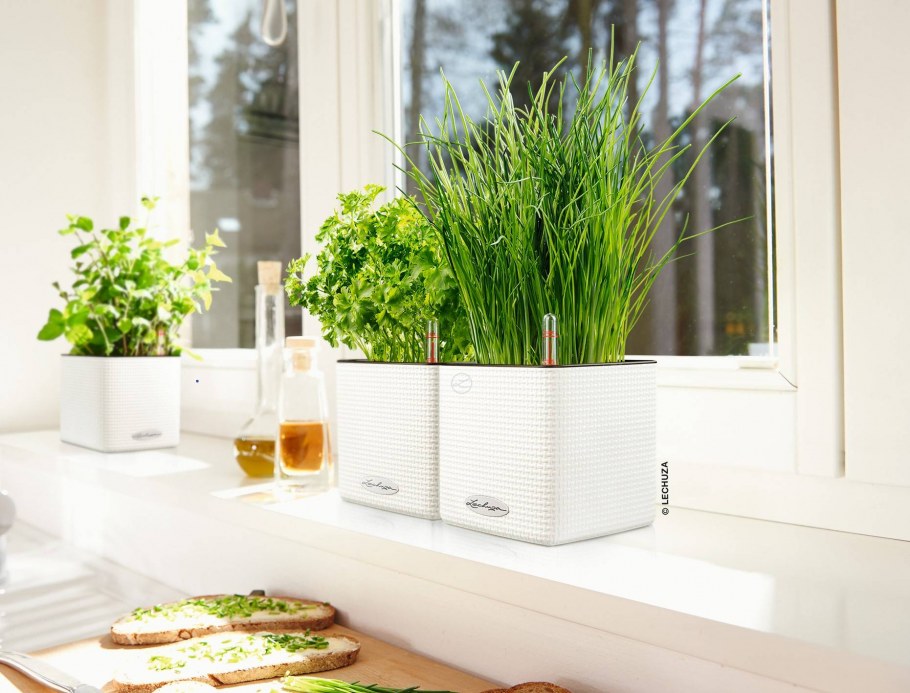 Красивые горшки для цветов