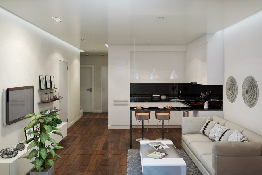 Кухня-гостиная 20 кв.м евродвушка