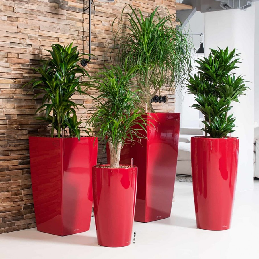 Кашпо Кубико 50 Lechuza