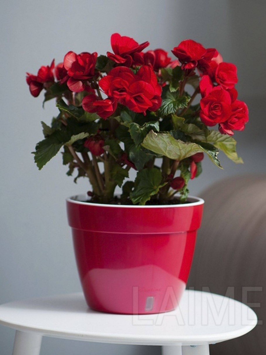 Горшок Асти 12л красный-белый