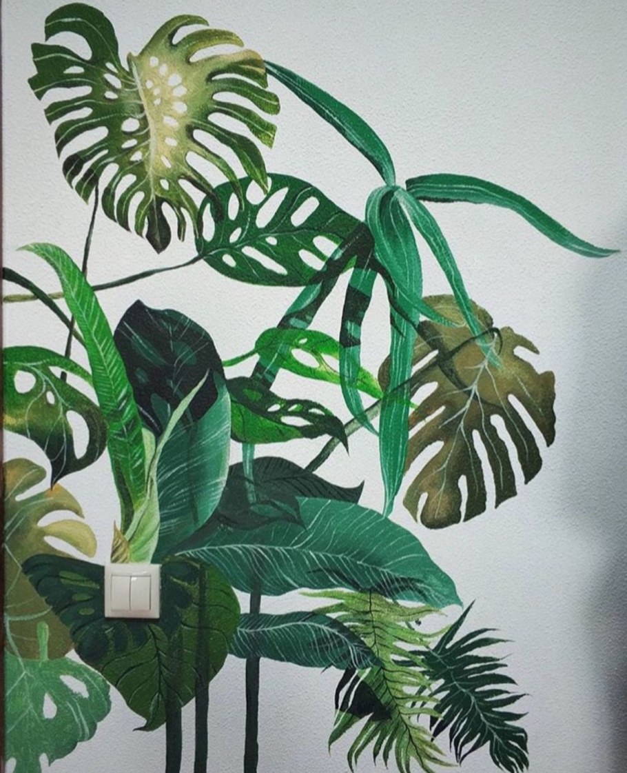 Монстера на стене