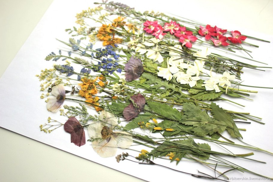 Сухоцветы "Лаванда"