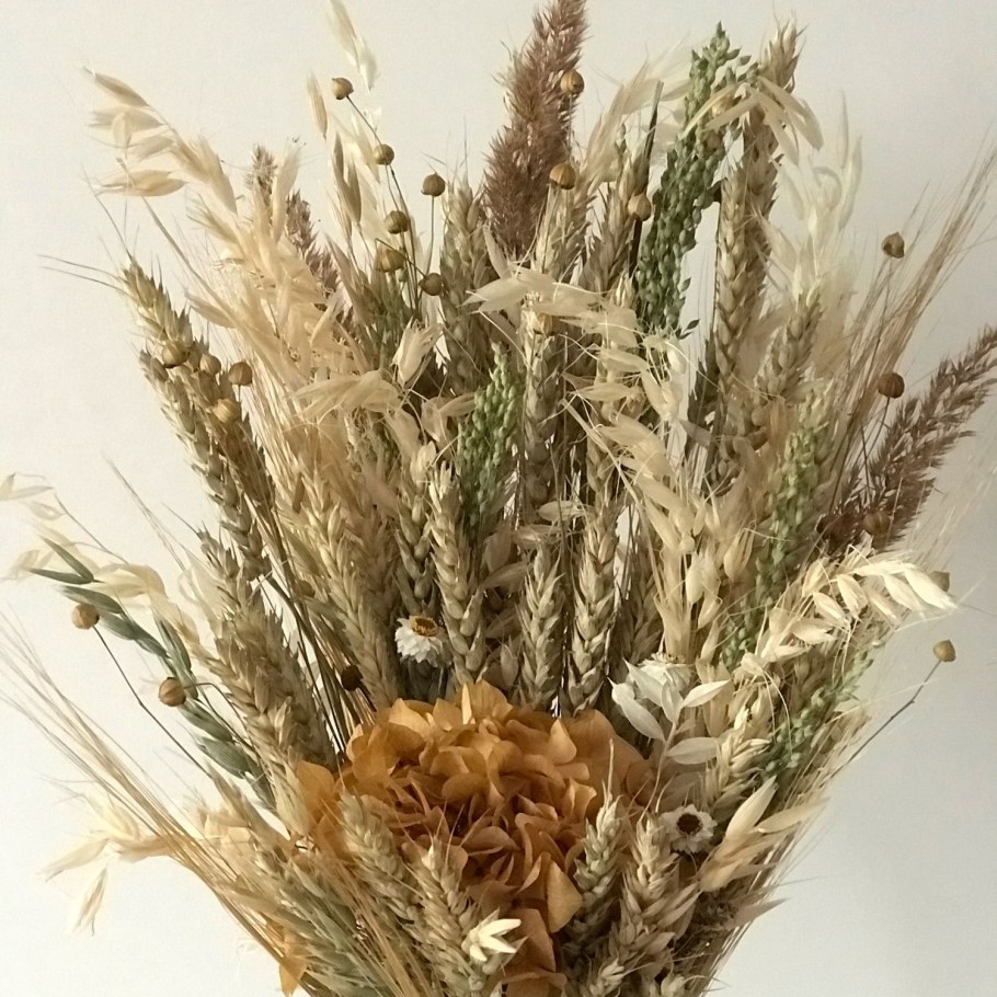 Ларгус сухоцвет