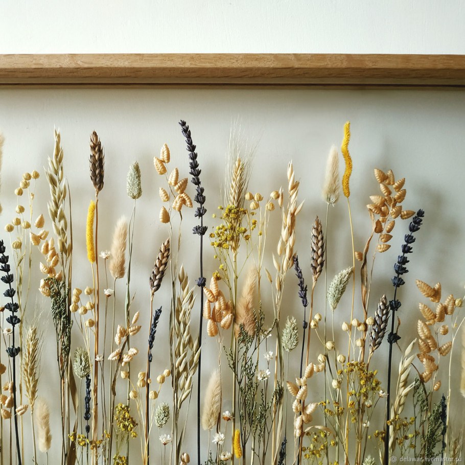 Сухоцветы композиции