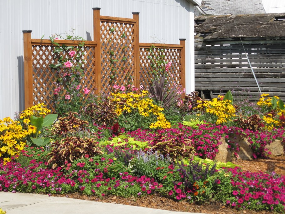 Сибирский палисадник