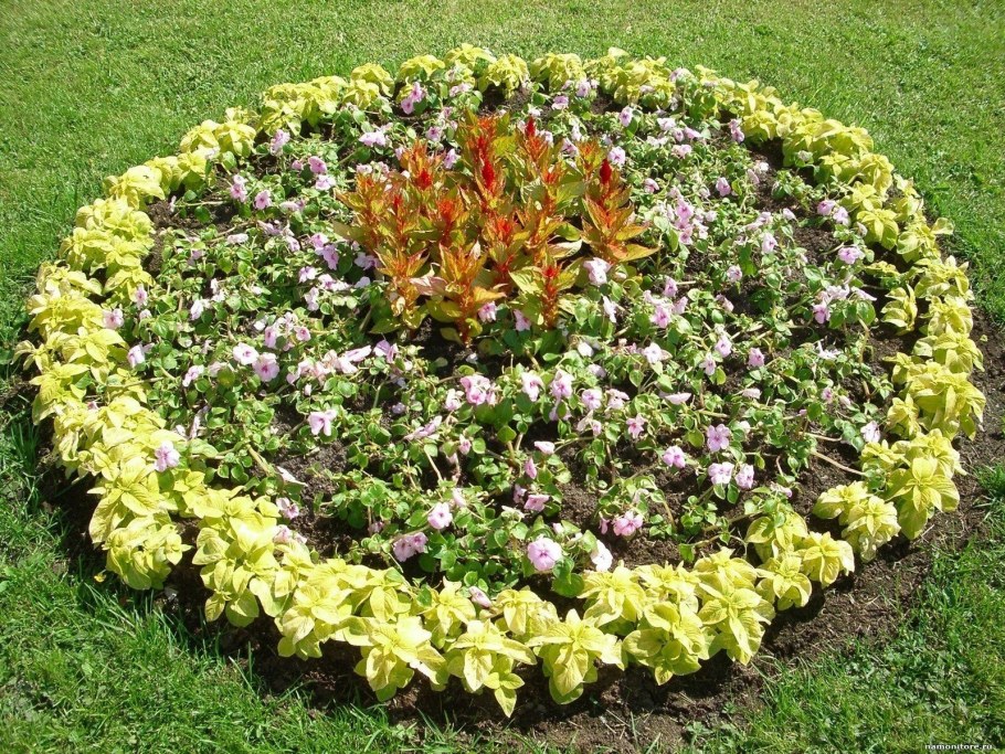 Формы клумб для цветов