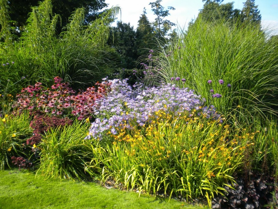 Вересковый миксбордер