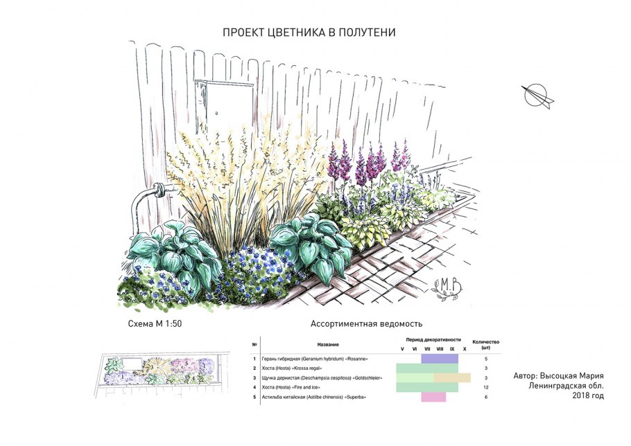 Схема миксбордера непрерывного цветения