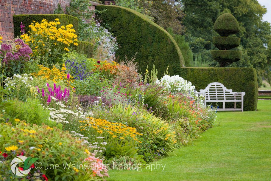 Миксбордер непрерывного цветения многолетников