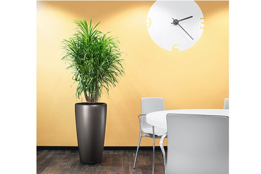 Кашпо Lechuza Rondo 40