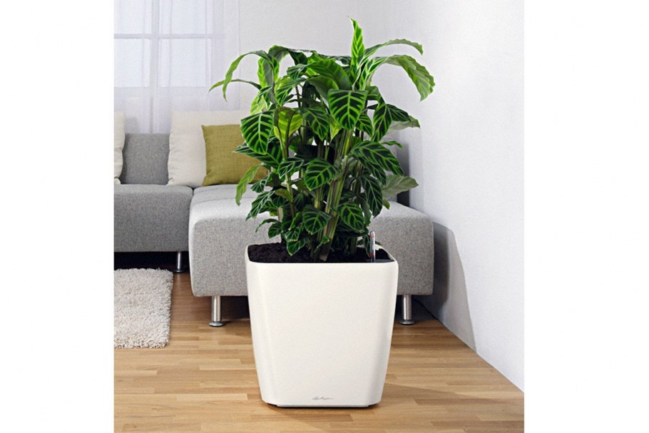 Гринлэнд кашпо