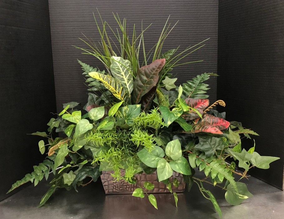 Папоротник Антуриум