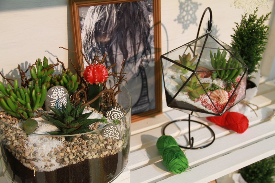 Композиции комнатных растений