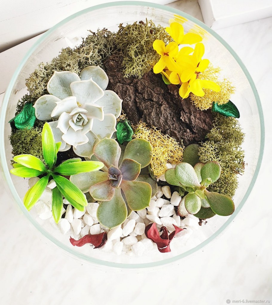 Настенные флорариумы круглые