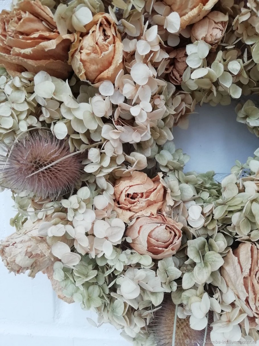 Зайцехвост лагурус