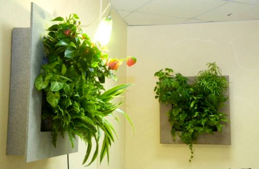 Перегородка из зелени