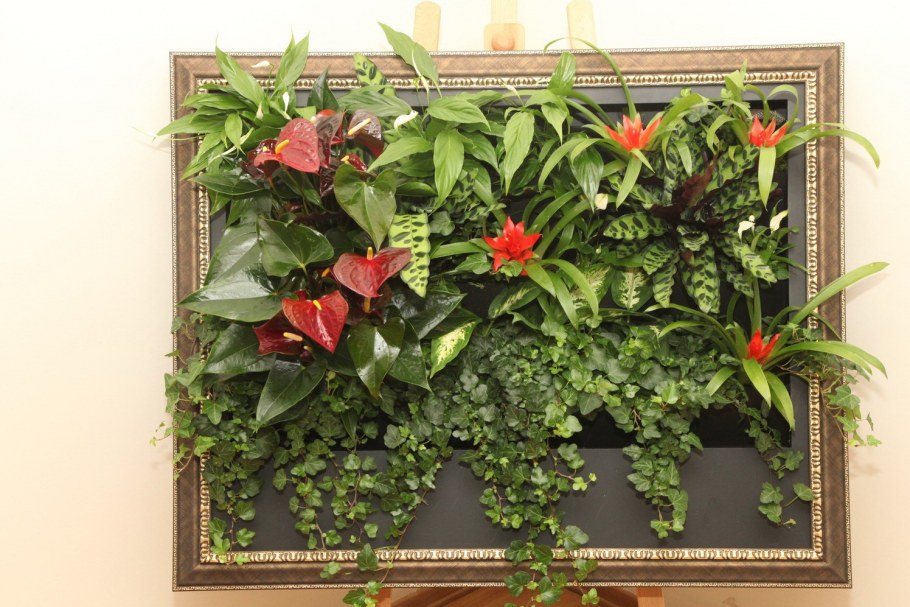 Фитостена вертикальное Озеленение