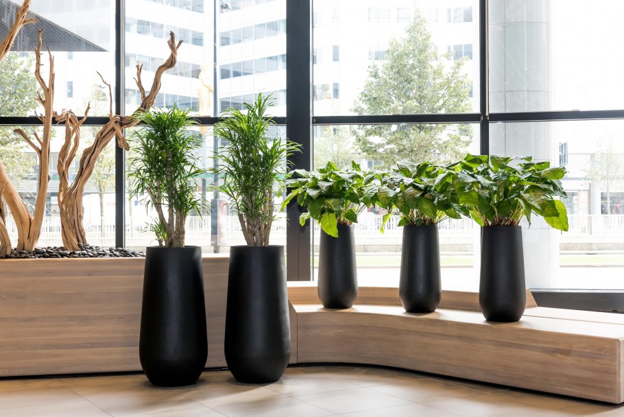 Pottery Pots Essential Glossy