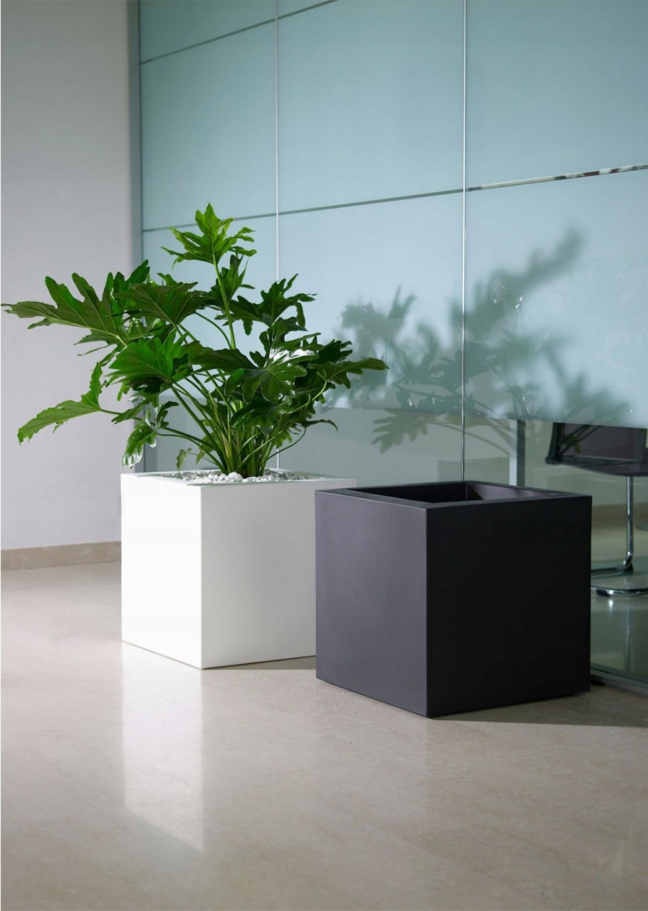 Квадратное кашпо в интерьере