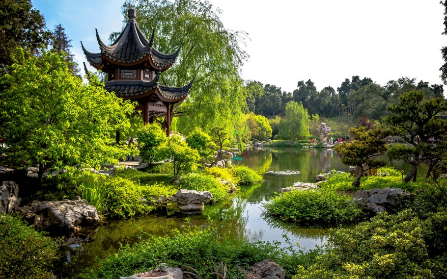 Кокэдэра храм мха