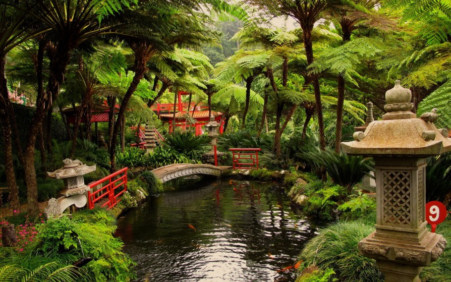 Японский сад обои