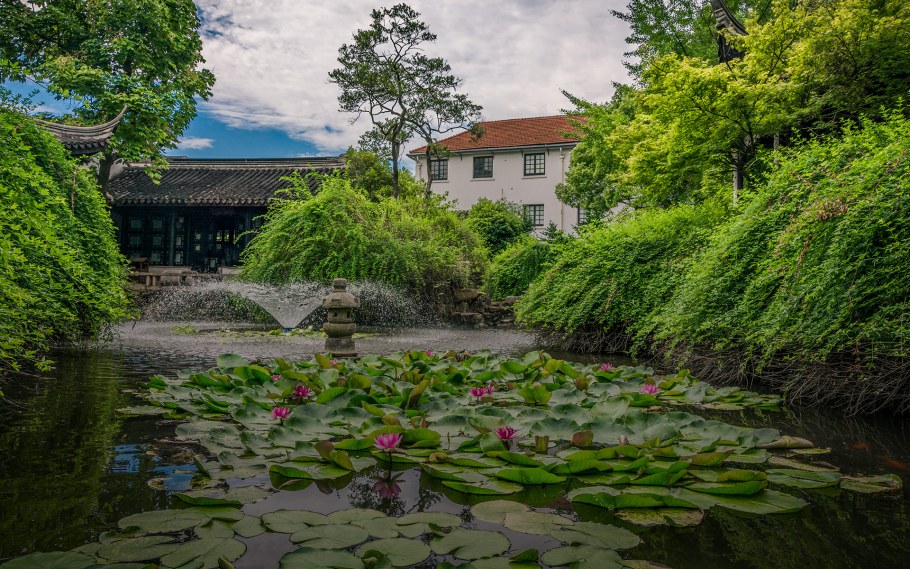 Воронцовский парк японский сад