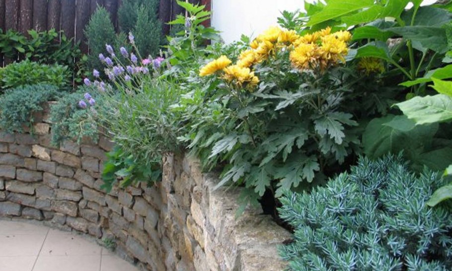 Клумбы вдоль подпорных стен