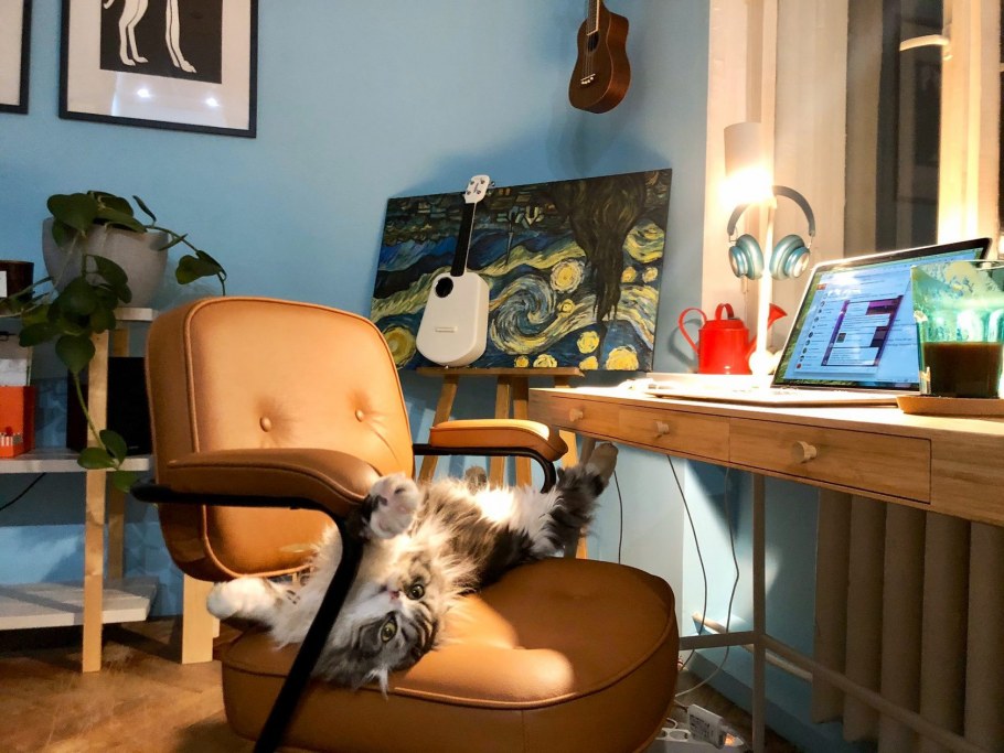 Уютное рабочее место