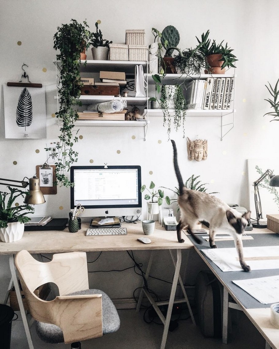 Обустроить рабочее место в офисе