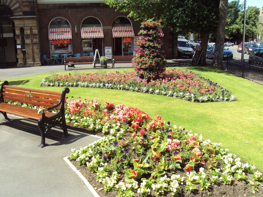 Цветы для летних веранд