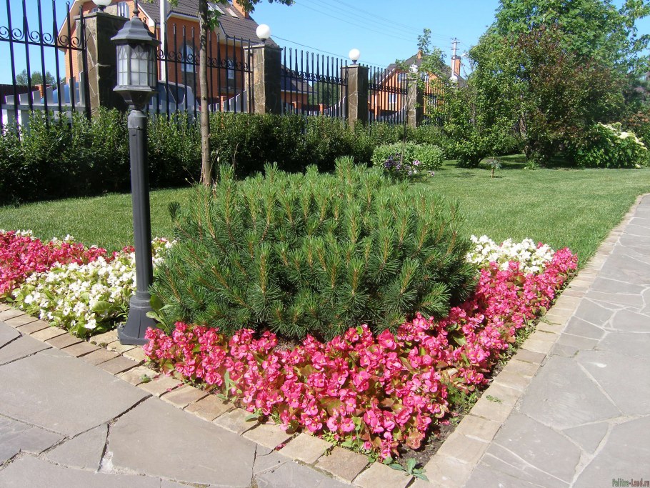 Ландшафтные идеи для сада