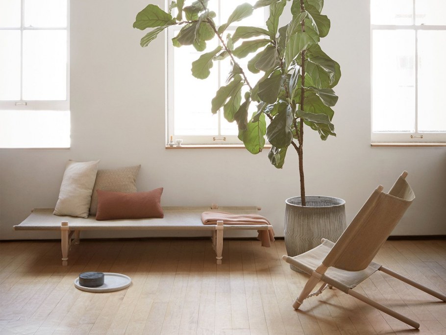 Растения в интерьере Минимализм